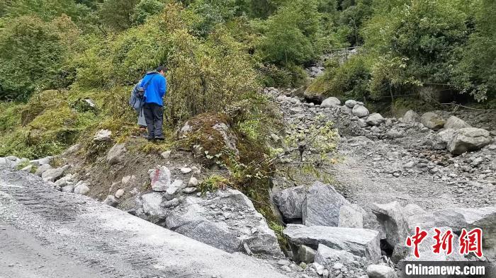 圖為折萼杜鵑被嚴(yán)重干擾的生境。　中科院昆明植物研究所提供