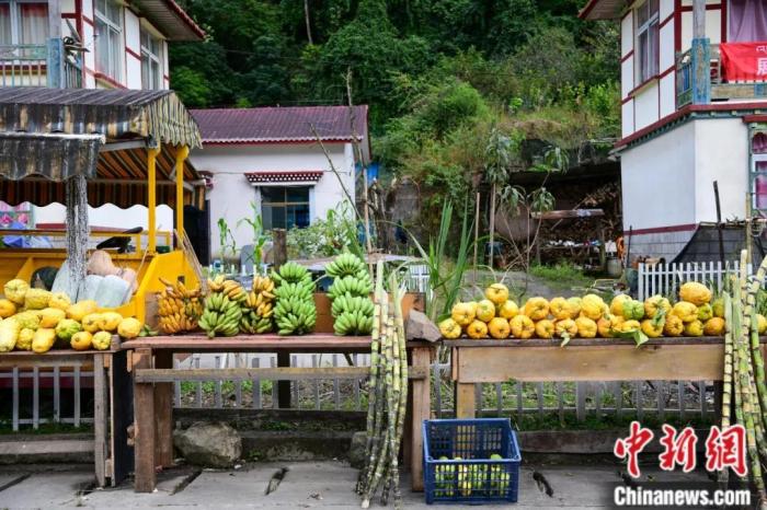 墨脫公路沿線，百姓擺攤銷售當地物產，包含香蕉、甘蔗、檸檬等。(<a target='_blank' href='/'><p  align=