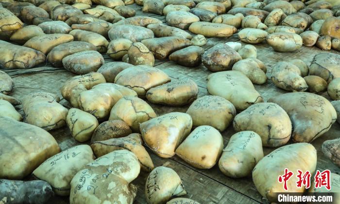 圖為茶措村牧區改革合作社用于分紅的酥油?！∷骼嗜是?攝