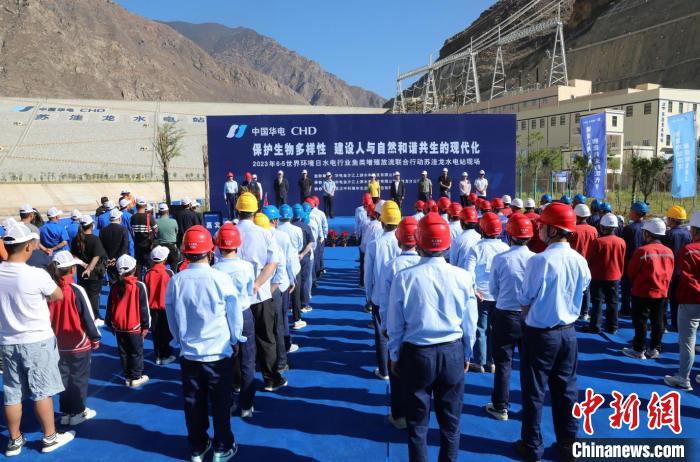 圖為蘇洼龍水電站魚類放流現(xiàn)場。　蘇洼龍水電站供圖