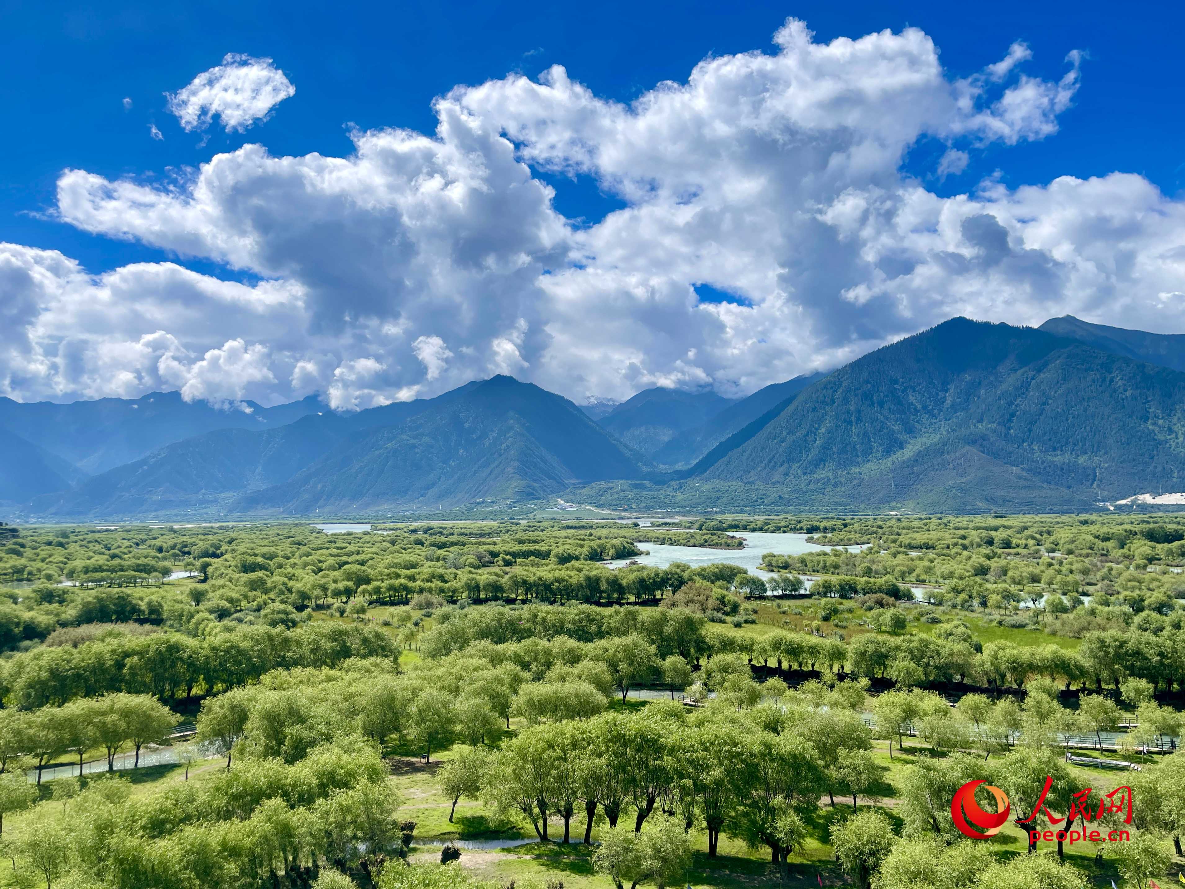 夏日的雅尼國(guó)家濕地公園生機(jī)盎然，如詩(shī)如畫。人民網(wǎng) 周靜圓攝