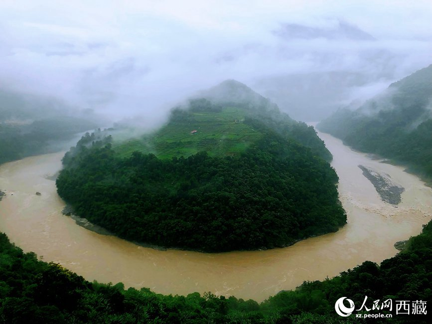雅魯藏布江大峽谷蛇形拐彎處，山坡上種滿茶樹。