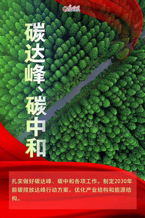 海報| 2021年政府工作報告，提到這些生態環保關鍵詞